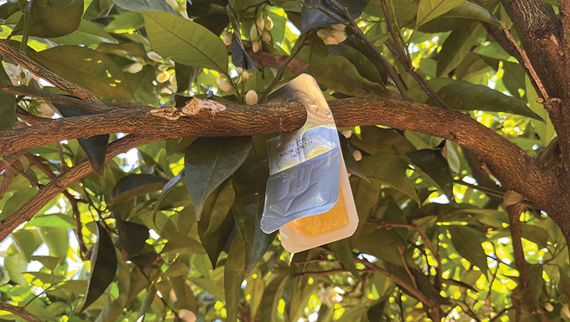 ArticleVYNYTY CITRUS_Image_01.png